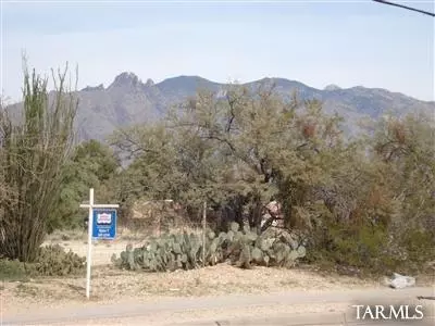 209 E Limberlost Dr, Tucson, AZ 85705 photo 1