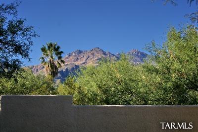 8231 E Cholla Dr, Tucson, AZ 85750 photo 18