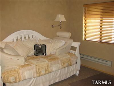 11168 Carter Canyon Rd E, Mount Lemmon, AZ 85619 photo 10