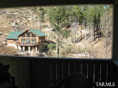 11168 Carter Canyon Rd E, Mount Lemmon, AZ 85619 photo 9