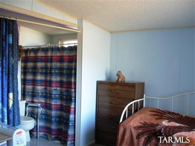 10060 S Big Thunder Dr, Vail, AZ 85641 photo 9