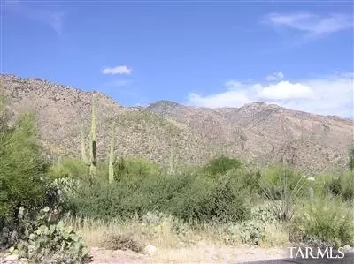 5617 E Circulo Terra, Tucson, AZ 85750 photo 2