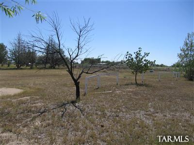 2969 W Sacaton Dr, Willcox, AZ 85643 photo 4
