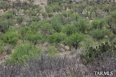 15175 E Hilton Ranch Rd, Vail, AZ 85641 photo 12