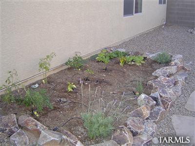 9652 S San Esteban Dr, Vail, AZ 85641 photo 15