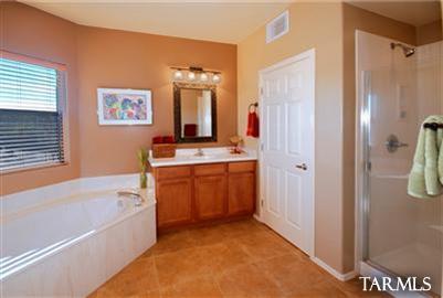 14139 E Placita Adamar, Vail, AZ 85641 photo 7