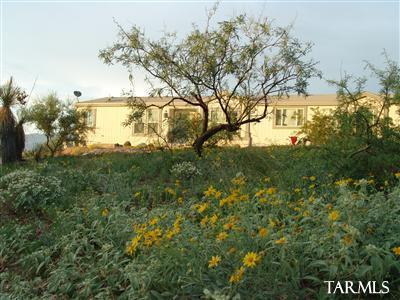 14131 E Lost Summit Pl, Vail, AZ 85641 photo 3