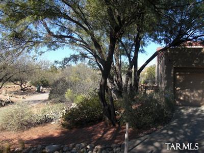 6907 E Nuthatch Trl, Tucson, AZ 85750 photo 24