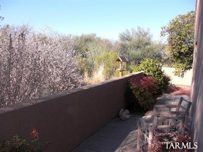 6907 E Nuthatch Trl, Tucson, AZ 85750 photo 21