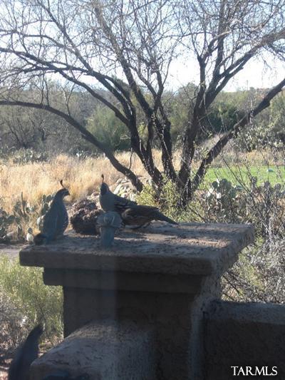 6907 E Nuthatch Trl, Tucson, AZ 85750 photo 8