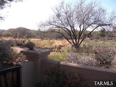 6907 E Nuthatch Trl, Tucson, AZ 85750 photo 20