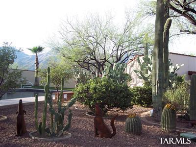 8450 E Snyder Rd, Tucson, AZ 85750 photo 9