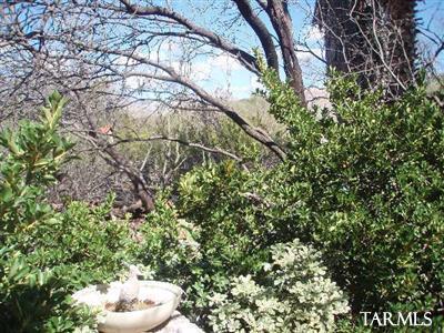 9254 E Walnut Tree Dr, Tucson, AZ 85749 photo 4