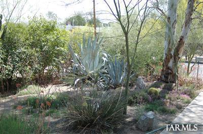 227 E Mabel St, Tucson, AZ 85705 photo 11