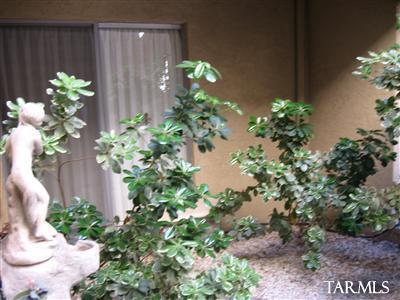 7008 E Rivercrest Rd, Tucson, AZ 85750 photo 3