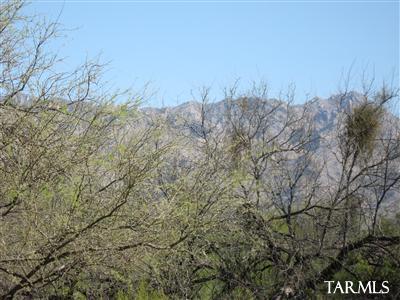 7008 E Rivercrest Rd, Tucson, AZ 85750 photo 7