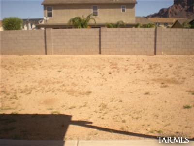 4924 W Paseo Don Carlos, Tucson, AZ 85757 photo 13