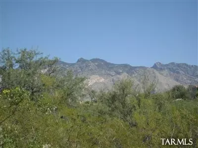 3409 E River Rd, Tucson, AZ 85718 photo 6
