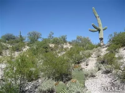 3409 E River Rd, Tucson, AZ 85718 photo 5