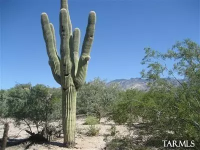 3409 E River Rd, Tucson, AZ 85718 photo 1