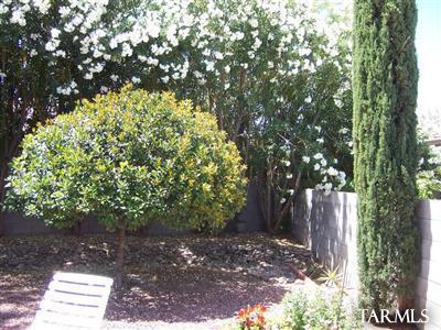 8828 E Fruit Tree Dr, Tucson, AZ 85730 photo 8