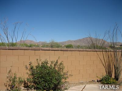17009 S Orchid Flower Trl, Vail, AZ 85641 photo 15