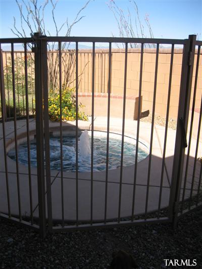 17009 S Orchid Flower Trl, Vail, AZ 85641 photo 16