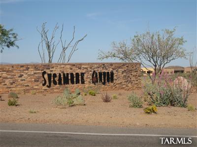 17009 S Orchid Flower Trl, Vail, AZ 85641 photo 20