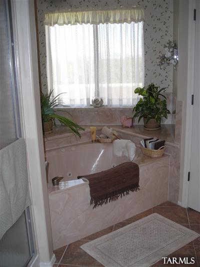 10568 E Heartleaf Willow Rd, Tucson, AZ 85747 photo 7