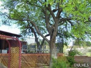 4030 E La Cadena, Tucson, AZ 85718 photo 14