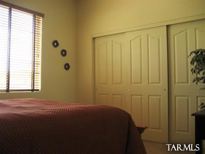 14233 E Wild Jesse Way, Vail, AZ 85641 photo 18