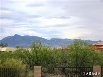 14233 E Wild Jesse Way, Vail, AZ 85641 photo 22