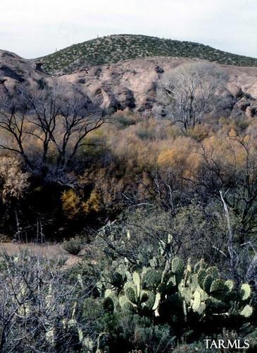 183 E Glory Hill Rd, Benson, AZ 85602 photo 12