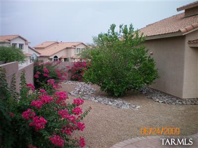 10277 E Buffaloberry Loop, Tucson, AZ 85748 photo 25