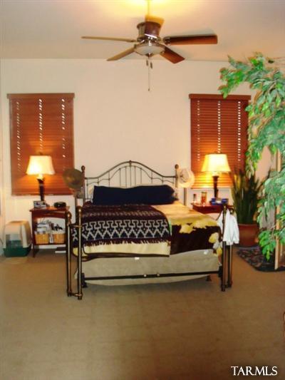 211 E Sycamore View Rd, Vail, AZ 85641 photo 9