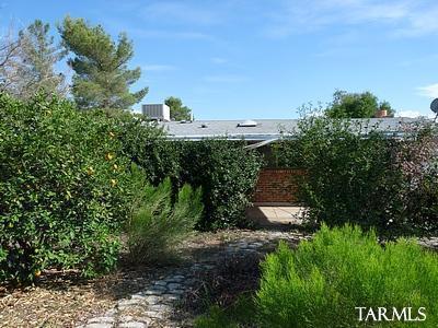 3231 E Cloudcrest Ln, Tucson, AZ 85739 photo 9
