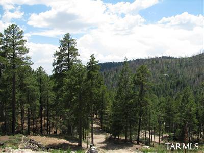 12624 N Casa Grande Ave, Mount Lemmon, AZ 85619 photo 5