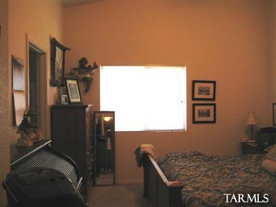 10201 E Buffaloberry Loop, Tucson, AZ 85748 photo 7