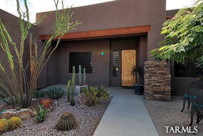 16737 S Palo Verde View Pl, Vail, AZ 85641 photo 3