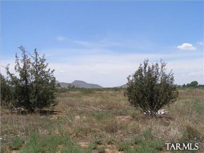 6786 E Trails End, Pearce, AZ 85625 photo 15