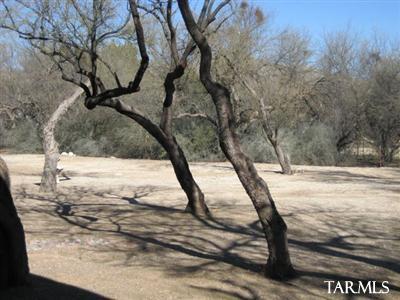 1220 N Wentworth, Tucson, AZ 85749 photo 19