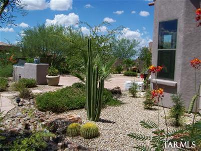 10558 S Coyote Melon, Vail, AZ 85641 photo 16