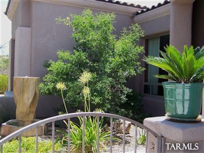 10558 S Coyote Melon, Vail, AZ 85641 photo 24