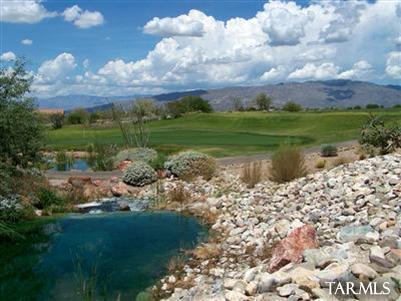 10558 S Coyote Melon, Vail, AZ 85641 photo 25
