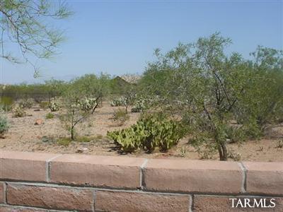 2960 E Darlene Dr, Vail, AZ 85641 photo 10