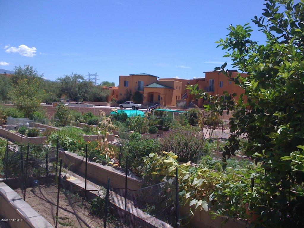 10541 E Marchetti Loop, Tucson, AZ 85747 photo 6