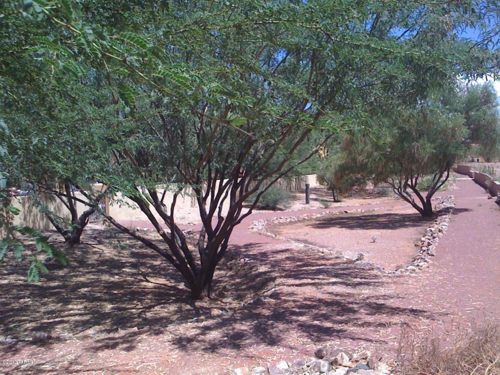 10541 E Marchetti Loop, Tucson, AZ 85747 photo 9