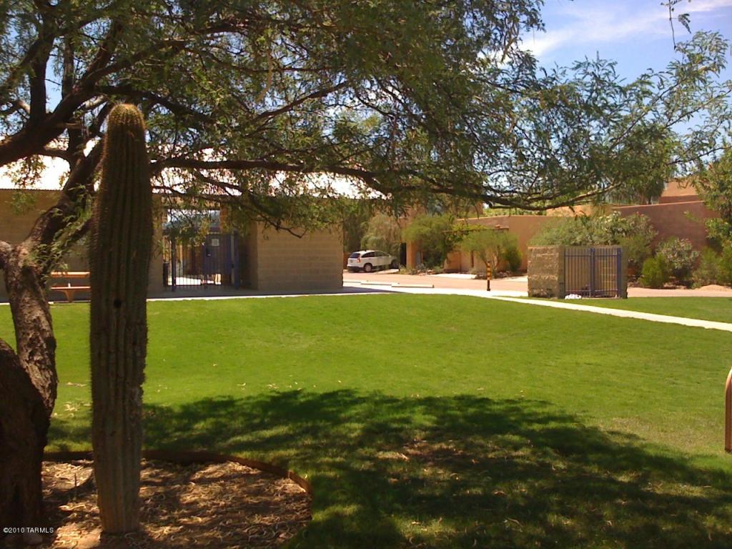 10541 E Marchetti Loop, Tucson, AZ 85747 photo 8