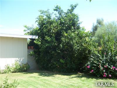 5150 E Rosewood St, Tucson, AZ 85711 photo 11