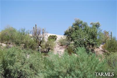 455 E River Rd, Tucson, AZ 85704 photo 5